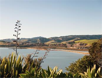 Tio Point (Bachcare) - Papakura