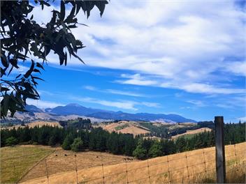 Best Views in Nelson and a Swimming Pool! - Nelson