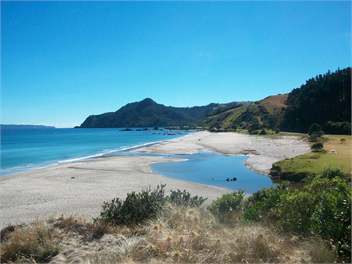 Thyme Out by the sea  - RD2 Whitianga