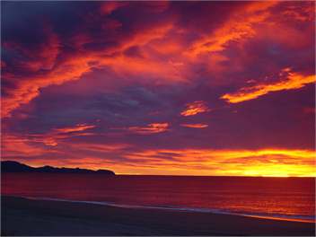 The Cookhouse @ Hannah's Beach - South Westland