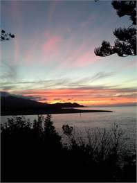 Torea -