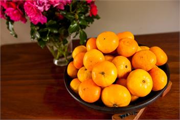 DoLittle Cottage amidst our organic citrus orchard - Kerikeri