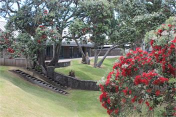 Airlie - Mangonui