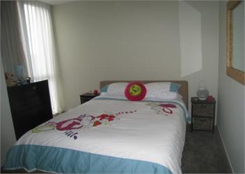 **Omaha Beach- Stylish Sun Filled Luxury Bach** - Auckland