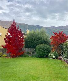Brook Green on Meadowstone - free Wifi - Wanaka 9305