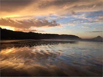West End Bliss - Whakatane