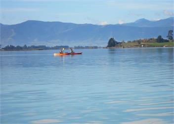 Bronte Tides Cottage - Nelson