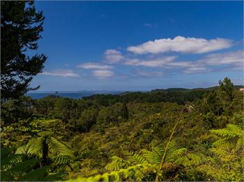 Hahei Hideaway (Bachcare) - Hahei