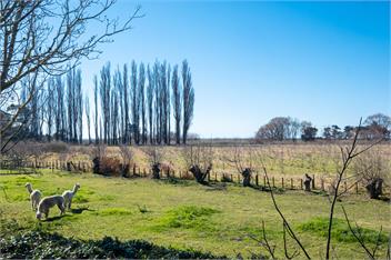 Te Awanga Cottages - Awa - Te Awanga