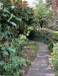 Spacious & Lively @Maori Hill - Dunedin
