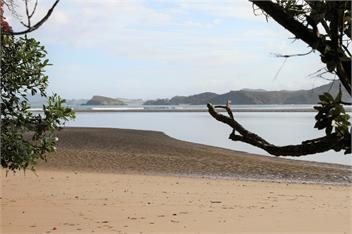 Kakariki by the Sea - Whangarei