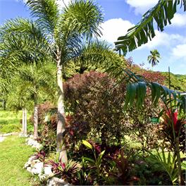 ' ARE PEPE - container home - Rarotonga