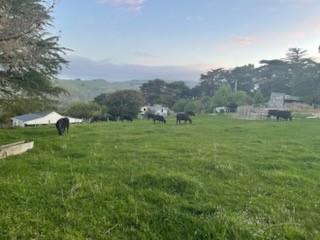 Okains View Farmhouse - the best views on the Peninsula - Canterbury