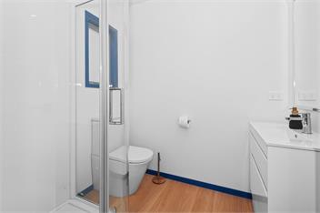 Bluey (Bachcare) - Whangarei