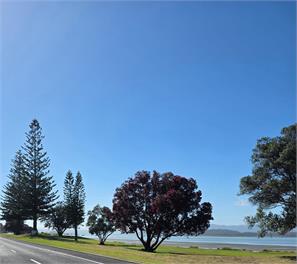 Podcast with a view - Ohope Beach