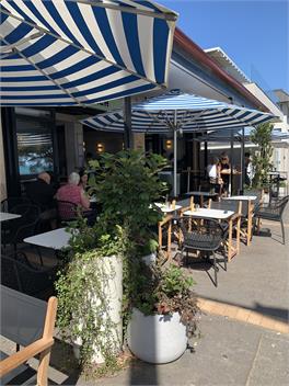 Kohi Bach - Auckland