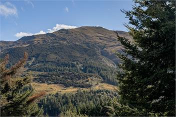 Korimako Ridge (Bachcare) - Lake Hawea