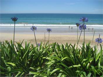 Absolute Beach Front wainui House - 