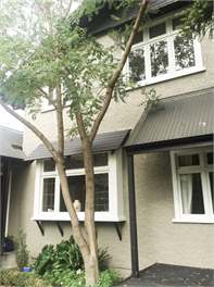 Garden Cottage - Palmerston North