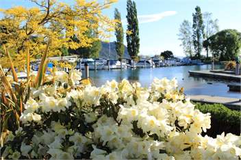 Dazaway Cottage - Taupo