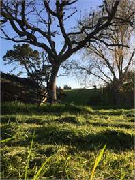 Romantic Retreat,Clevedon, close to sea - Auckland