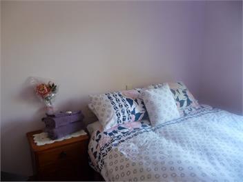 Country Villa - Te Aroha