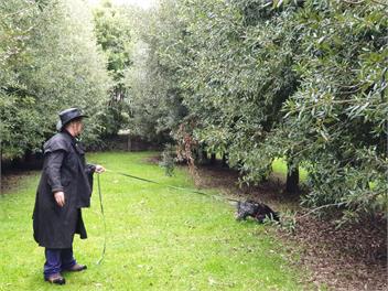 Matangi Truffle Retreat - Hamilton