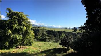 The Beeches - Waiau