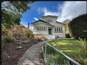 Spacious & Lively @Maori Hill - Dunedin