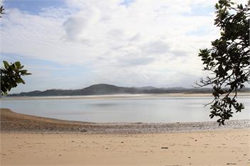 Kakariki by the Sea - Whangarei