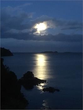 Rose Cottage - Stewart Island