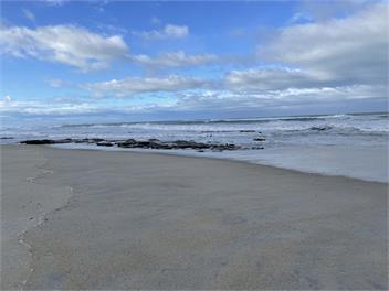Toko Mouth Beach House - Dunedin