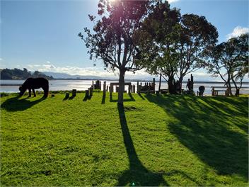 Pahoia Beachstay - The Shell Hut - Whakamarama