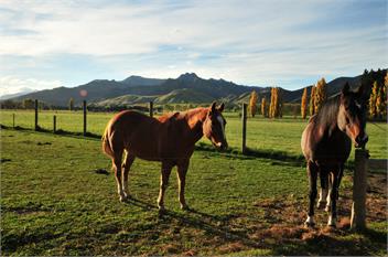 The Lookout - Wanaka