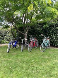 Blackbird House - Martinborough 