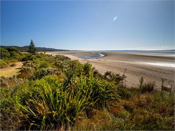 Godwit Cottage (Bachcare) - Pakawau