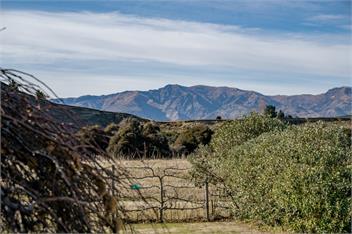 Tranquil on Ribbonwood (Bachcare) - Wanaka