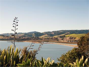 Tio Point (Bachcare) - Papakura