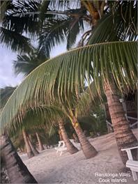 Rarotonga Villas Villa One - Cook Islands