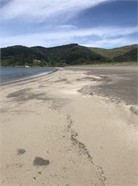Blue Bay Bach – Opoutama Beach Mahia - Mahia