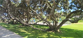Stay at Taipari - Raglan