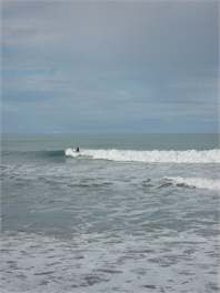 Bach No. 5 at Sunny Riversdale - Riversdale Beach Masterton 