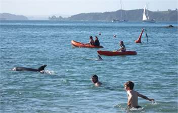 Bay of Islands Beachfront - Tapeka del Mar -