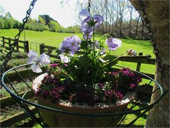 Nut Point Cottage - (Christchurch City and Country Cottages) - West Melton