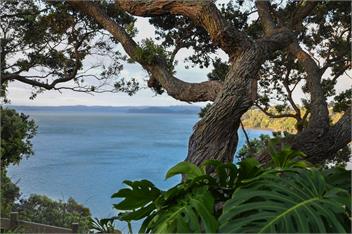 Stunning clifftop oceanview house auckland - Auckland