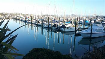 Half Moon Bay brand new two-bedroom family unit - Auckland