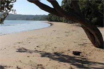 Airlie - Mangonui