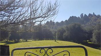 The Log Cabin - Waihi