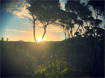 The Whaler’s Cottage  - Great Barrier Island