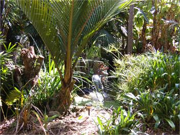 Milton Park country view cottage - Kaikohe